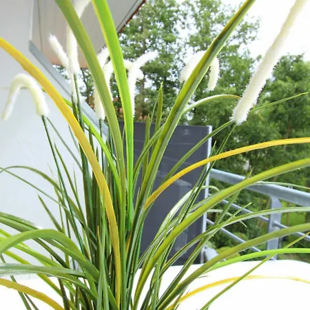 Appartement Am Park 12