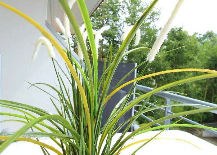 Appartement Am Park 12